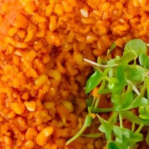 FDA Seeks Public Input on Experiences with Export Certification in the Form of Lists (Export Lists) for Human Food Products