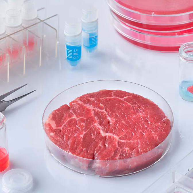 Mid-Summer Grillin’! Fire up the…Cell Incubator?