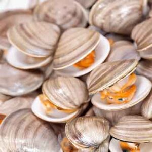 FDA Adds Firms to Import Alert Due to PFAS in Clams