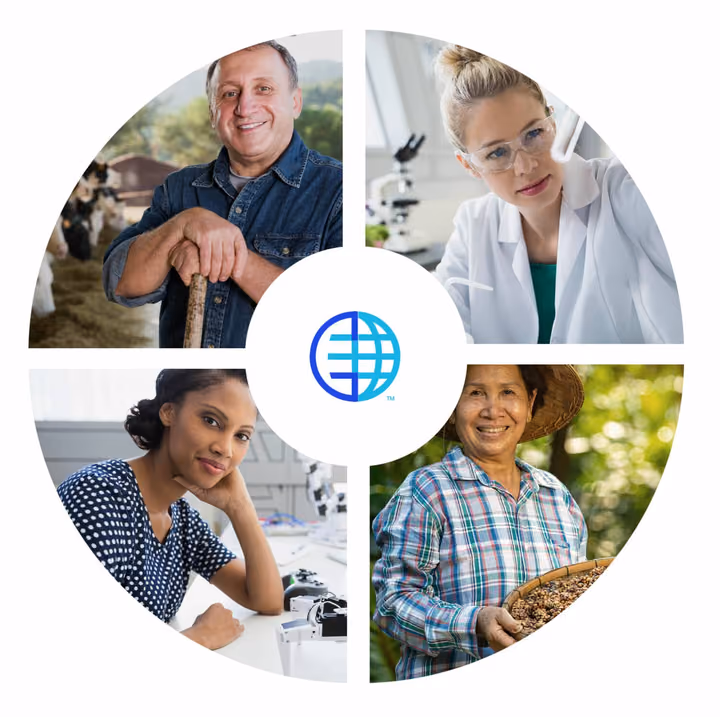 Diverse business partners